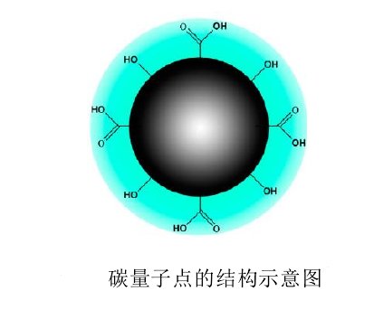 탄소양자점(CQD)