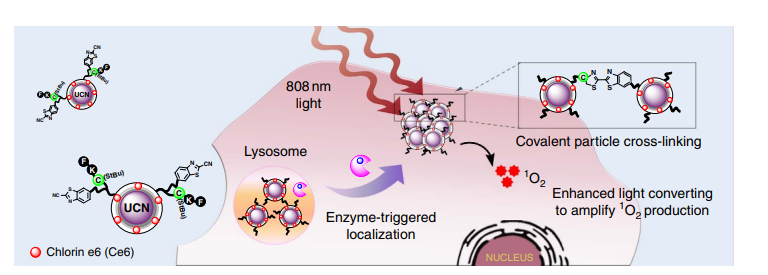 nanoparticles aggregate